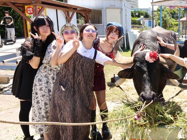 okinawa15.jpg